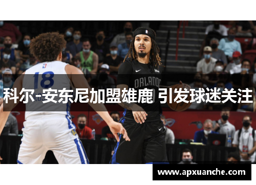 科尔-安东尼加盟雄鹿 引发球迷关注